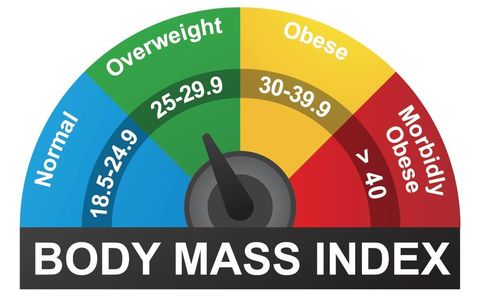 body mass index information